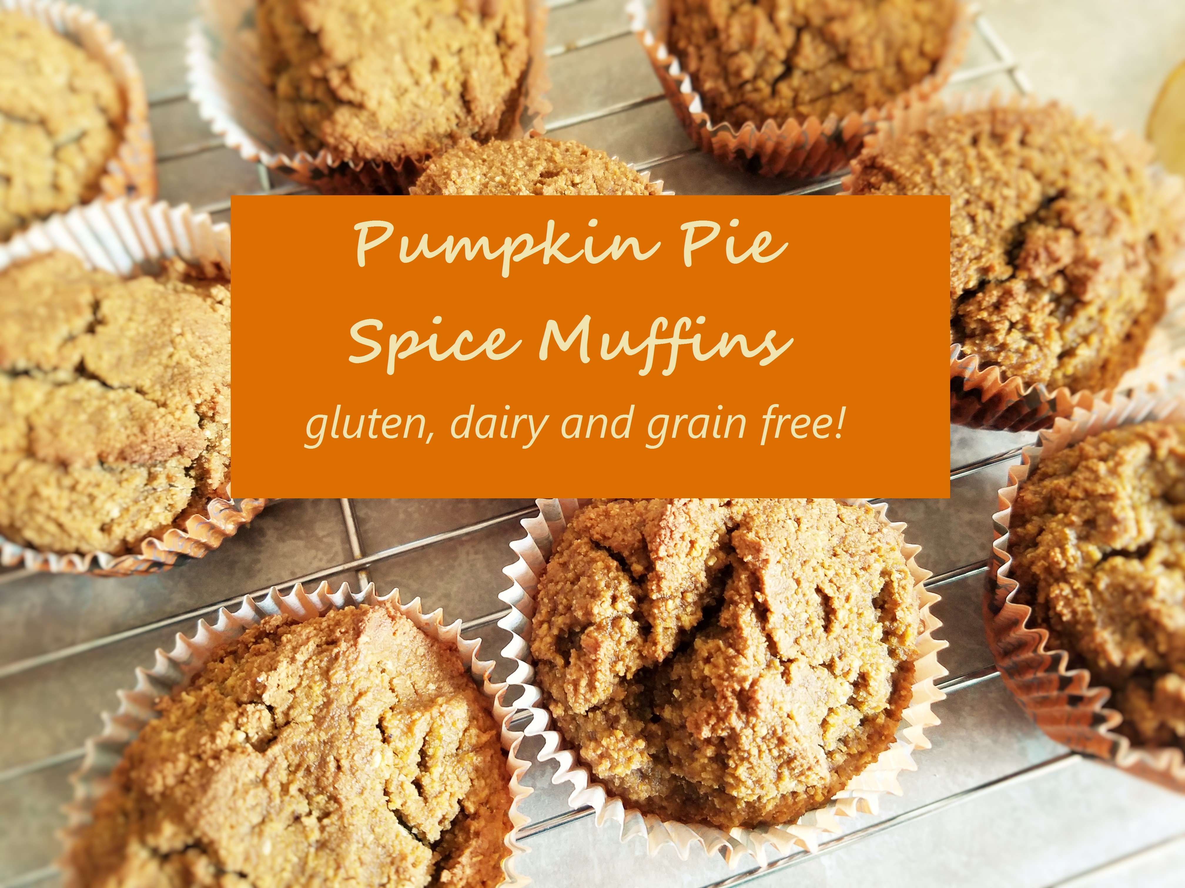 Pumpkin Pie Spice Muffins – Gluten, Dairy and Grain Free! (Freezer-friendly)