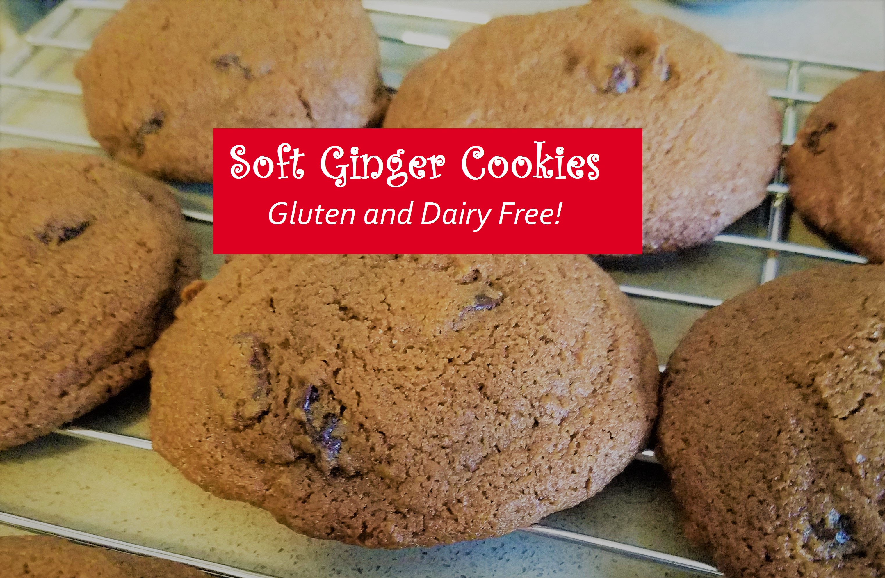 Soft Ginger Cookies – Gluten and Dairy free!